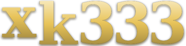 xk333 logo